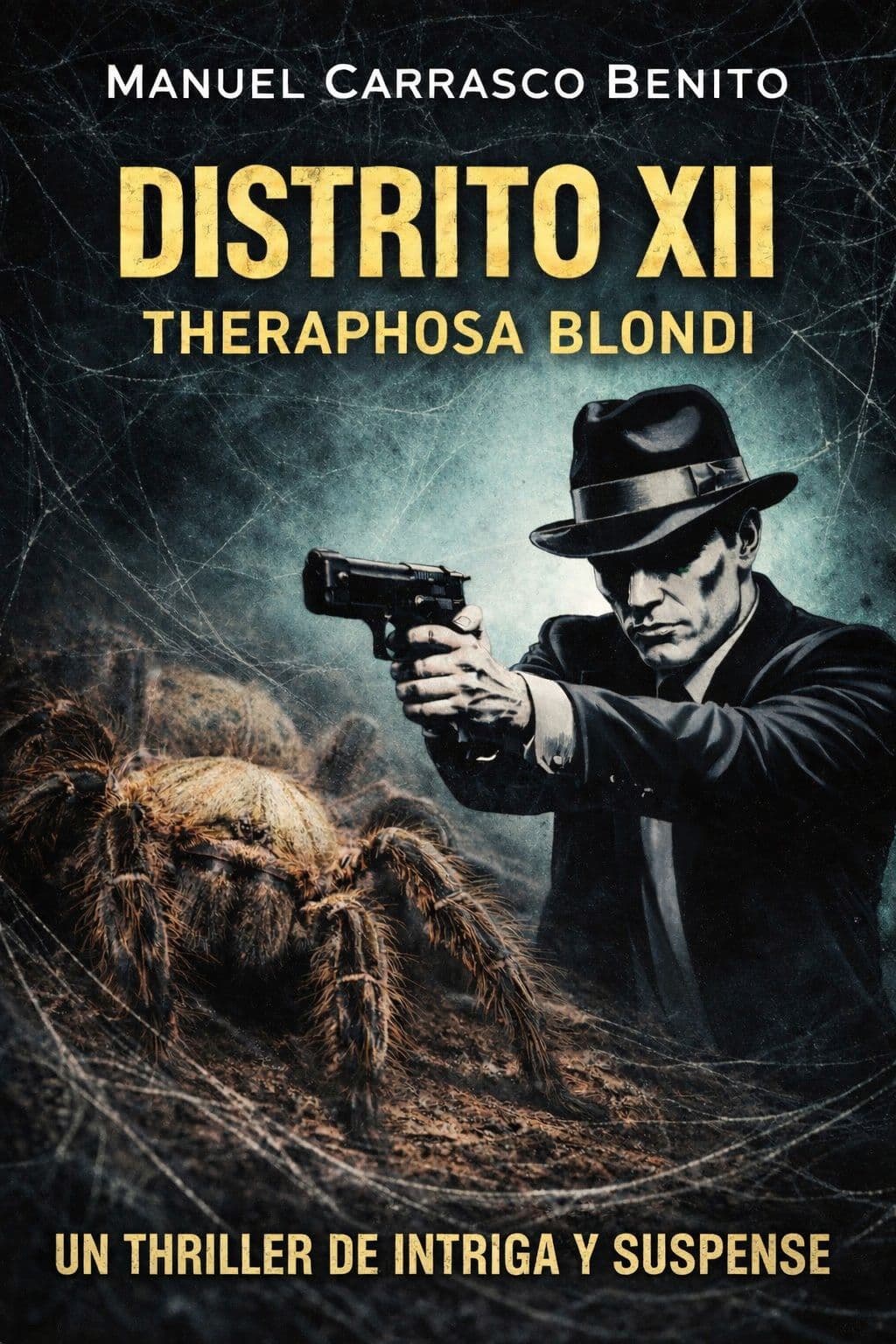 DISTRITO XII